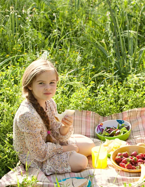 Chica teniendo un picnic en la naturaleza —  Fotos de Stock