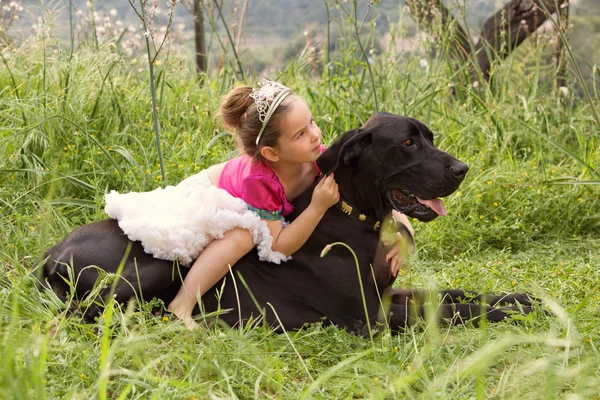 Girl sitting on her dogs in a park field — Stock Fotó