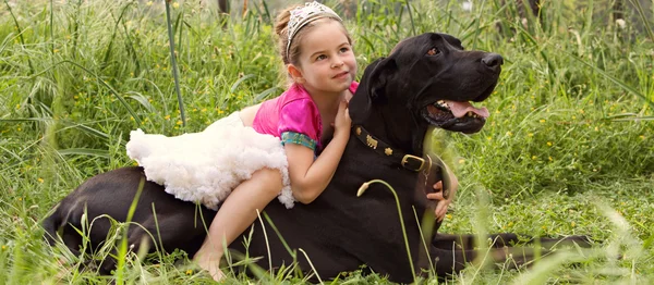 Girl sitting on her dogs in a park field — Stok fotoğraf