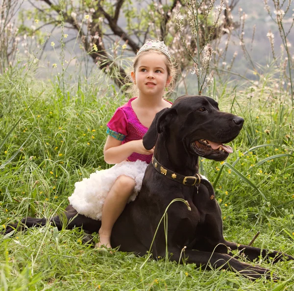 Girl sitting on her dogs in a park field — ストック写真