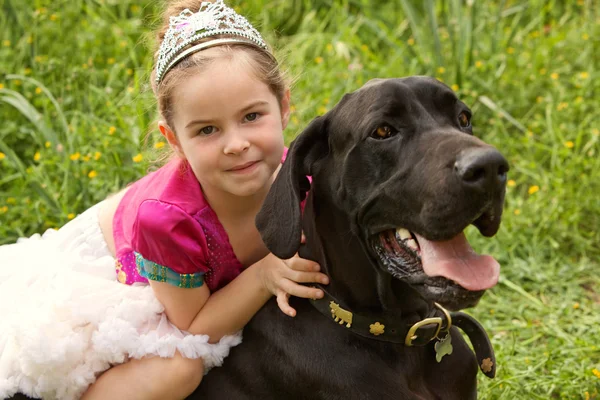 Girl sitting on her dogs in a park field — Stock Photo, Image