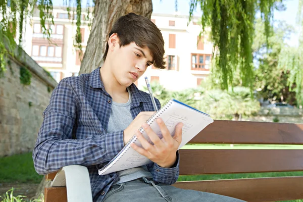 Boy doing his college homework Stock Image