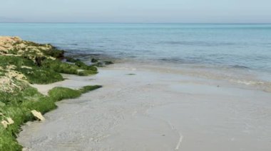 Yeşil deniz sahilinde kayalar