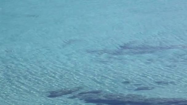 Vagues de mer se déplaçant doucement 