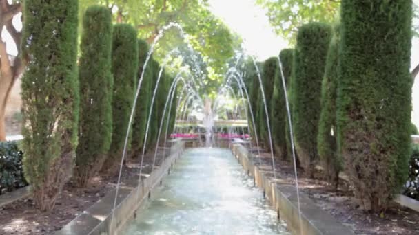 Woman walking past a fountain with shopping bags — Stock Video