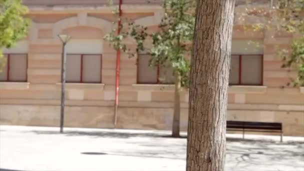 Adolescent fille câliner et câliner un arbre — Video