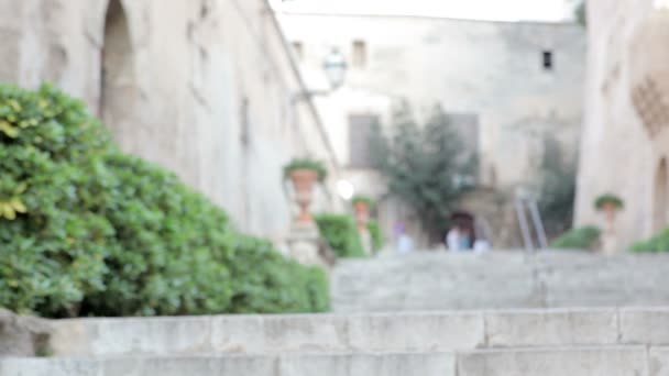 Estudiante subiendo los escalones — Vídeos de Stock