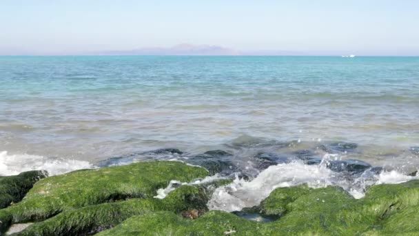 Sea view from the shore with green rocks — Stock Video