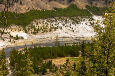 Yellowstone Milli Parkı 'ndaki Yellowstone Nehri.