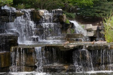 Eyalet parkındaki Güzel Şelale