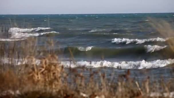 Озеро Мічиган Одним Яти Великих Озер Північної Америки — стокове відео