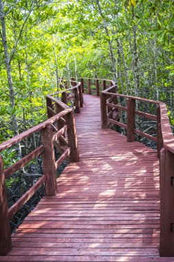 Kırmızı ahşap köprü