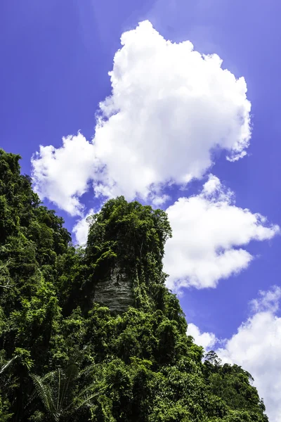 BlueSky med gröna moutain — Stockfoto