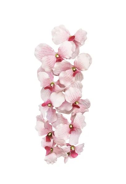 Kunstmatige roze orchideebloemen geïsoleerd Stockafbeelding
