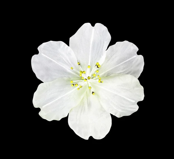 Flor blanca artificial aislada — Foto de Stock