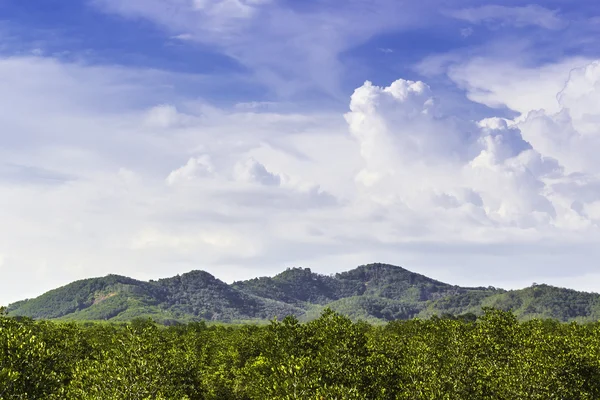 Grön skog och berg med blå himmel — Stockfoto