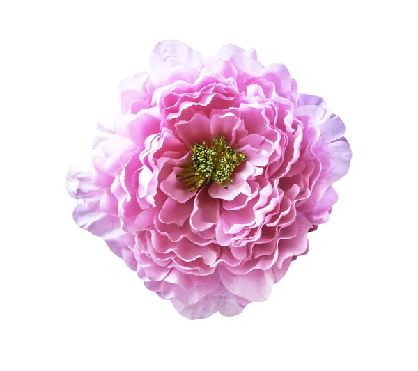 Розовый искусственный цветок на белом — стоковое фото