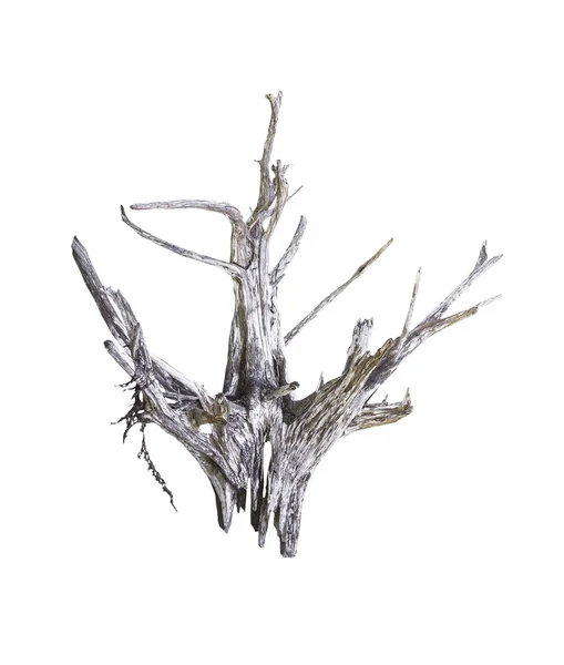 Enstaka döda trädet isolerade — Stockfoto
