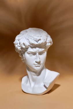 Beyaz alçı göğüslü genç bir adamın heykel portresi. David 'in kafasının alçıtaşı heykeli. Michelangelo 'nun David heykelinin alçı kopyası. Antik Yunan heykeli, kahraman heykeli