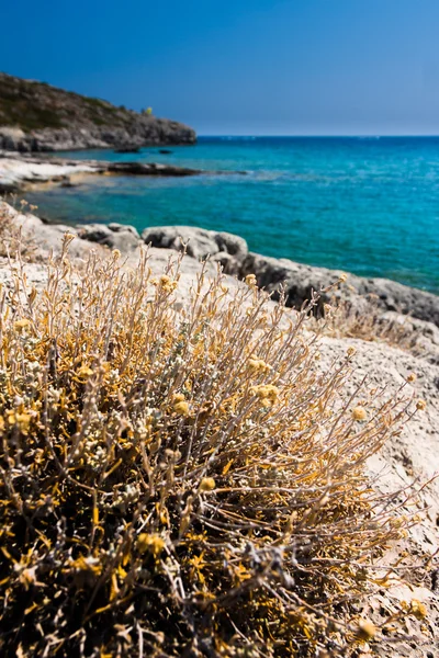 Kayalık sahil Yunanistan ile Kolymbia plaj. — Stok fotoğraf