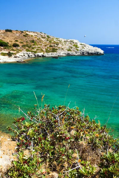 Playa de Kolymbia con la costa rocosa en Grecia . —  Fotos de Stock