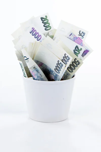 Czech paper money in flowerpot on white background — Stock Photo, Image