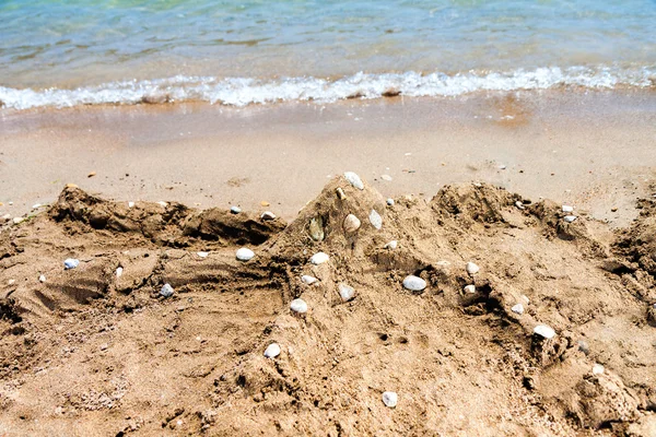 Octopus from the sand on the sea beach — Stock Photo, Image