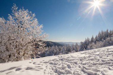 Kar kaplı Çek Cumhuriyeti - Pustevny, Beskydy, Radegast, Radhost
