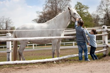 Beyaz atlı, çocuklu ve yumuşak başlı, Çek Cumhuriyeti