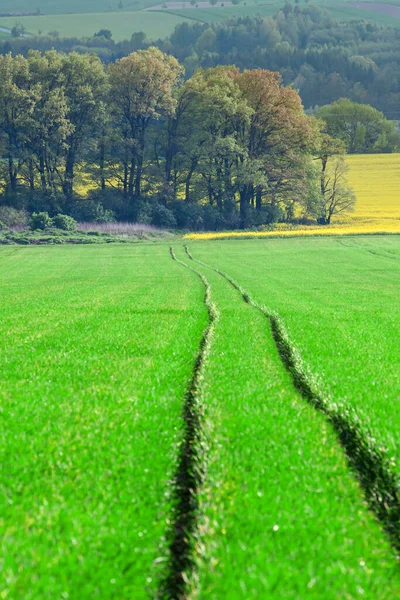 Vista rural idílica de belas terras agrícolas nos belos arredores das Montanhas de Ferro — Fotografia de Stock