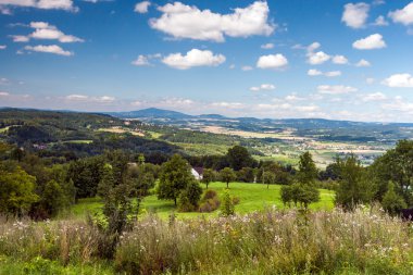 Beautiful summer mountain landscape in the Czech Republic clipart