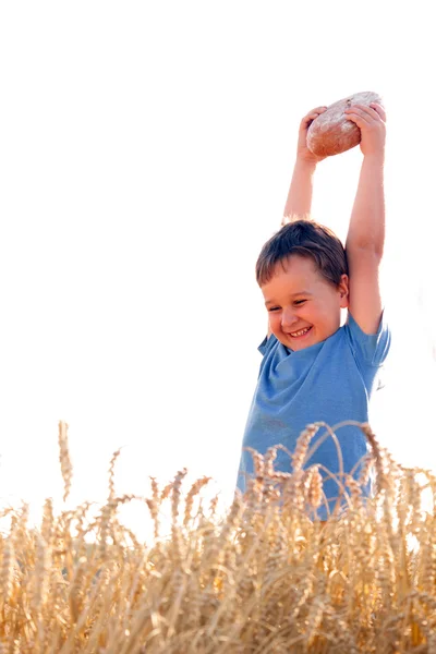 Ragazzo con il pane sopra la testa nel grano maturo con il sole alle spalle per un'atmosfera da sogno — Foto Stock