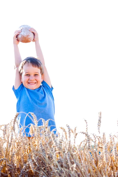 Niño con el pan sobre la cabeza en el grano maduro con el sol en la espalda para la atmósfera de sueño — Foto de Stock