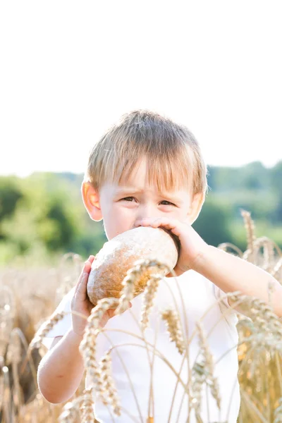 Ragazzo con il pane sopra la testa nel grano maturo con il sole alle spalle per un'atmosfera da sogno — Foto Stock