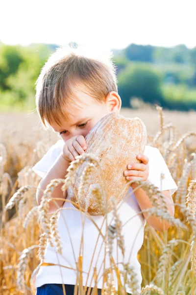 Niño con el pan sobre la cabeza en el grano maduro con el sol en la espalda para la atmósfera de sueño —  Fotos de Stock