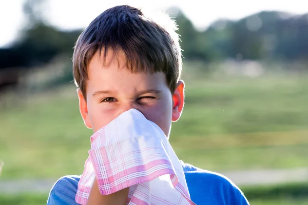 자연에서 흰 손수건으로 코를 타격 하는 동안 꽃가루에 알레르기가 있는 아이 스톡 이미지