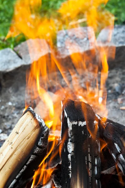 Camp fire with wood — Stock Photo, Image