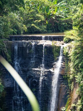 Dağ şelalesi nehir manzarası.
