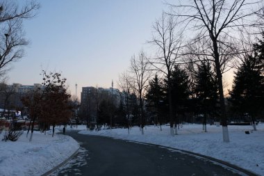 Changchun - 6 Ocak 2020 tarihinde Changchun, Çin 'de Changchun caddelerinin ön cephesi. Çin Halk Cumhuriyeti 'nin başkenti ve en büyük kentidir. Songliao Ovası' nın merkezinde yer alır..