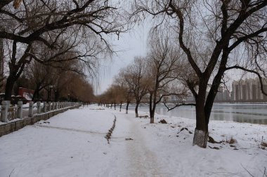 Changchun - 6 Ocak 2020 tarihinde Changchun, Çin 'de Changchun caddelerinin ön cephesi. Çin Halk Cumhuriyeti 'nin başkenti ve en büyük kentidir..