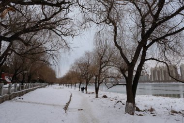 Changchun - 6 Ocak 2020 tarihinde Changchun, Çin 'de Changchun caddelerinin ön cephesi. Çin Halk Cumhuriyeti 'nin başkenti ve en büyük kentidir..