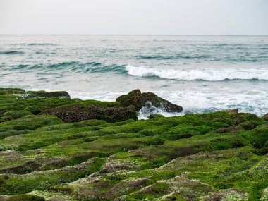 New Taipei şehrindeki Laomei Green Reef (Taş yalaklar) manzarası. Deniz oluğunda (deniz erozyonu hendeği) sadece Nisan ve Mayıs aylarında yeşil yosun bulunur..