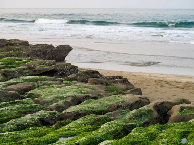New Taipei şehrindeki Laomei Green Reef (Taş yalaklar) manzarası. Deniz oluğunda (deniz erozyonu hendeği) sadece Nisan ve Mayıs aylarında yeşil yosun bulunur..