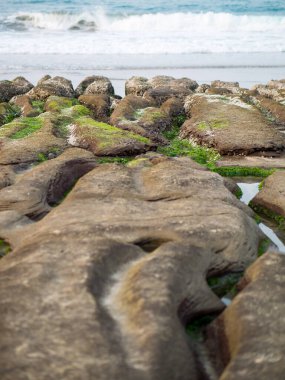New Taipei şehrindeki Laomei Green Reef (Taş yalaklar) manzarası. Deniz oluğunda (deniz erozyonu hendeği) sadece Nisan ve Mayıs aylarında yeşil yosun bulunur..