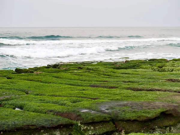 New Taipei şehrindeki Laomei Green Reef (Taş yalaklar) manzarası. Deniz oluğunda (deniz erozyonu hendeği) sadece Nisan ve Mayıs aylarında yeşil yosun bulunur..