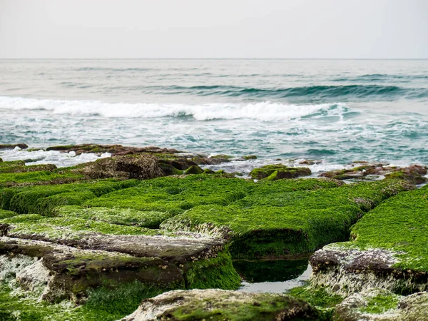 New Taipei şehrindeki Laomei Green Reef (Taş yalaklar) manzarası. Deniz oluğunda (deniz erozyonu hendeği) sadece Nisan ve Mayıs aylarında yeşil yosun bulunur..