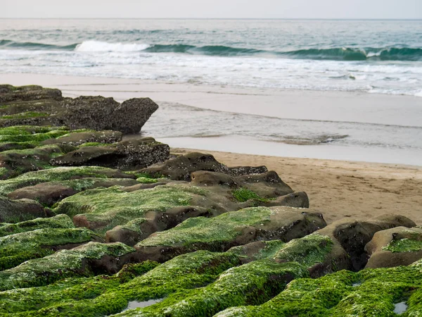 New Taipei şehrindeki Laomei Green Reef (Taş yalaklar) manzarası. Deniz oluğunda (deniz erozyonu hendeği) sadece Nisan ve Mayıs aylarında yeşil yosun bulunur..