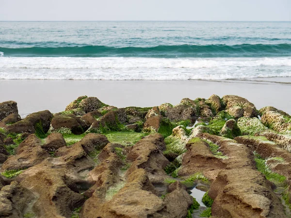 New Taipei şehrindeki Laomei Green Reef (Taş yalaklar) manzarası. Deniz oluğunda (deniz erozyonu hendeği) sadece Nisan ve Mayıs aylarında yeşil yosun bulunur..