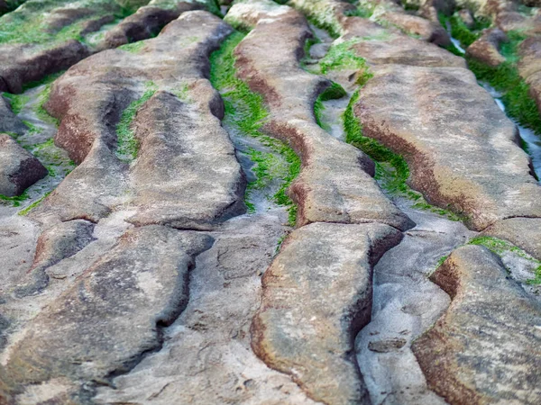 Vista Del Arrecife Verde Laomei Abrevaderos Piedra Ciudad New Taipei — Foto de Stock