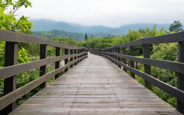 Bataklıktaki tahta köprüler..